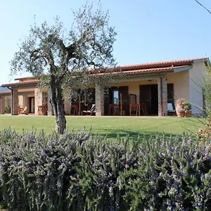 Il Vecchio Mandorlo , Castiglione della Pescaia Italia
